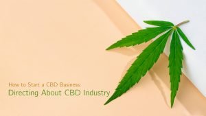 How to Start a CBD Business: Directing About CBD Industry